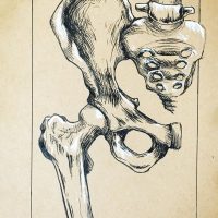 Osteopathie am Becken